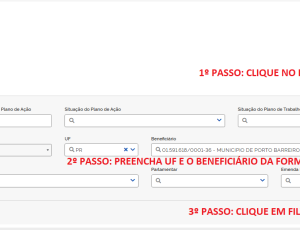 passo-a-passo.png